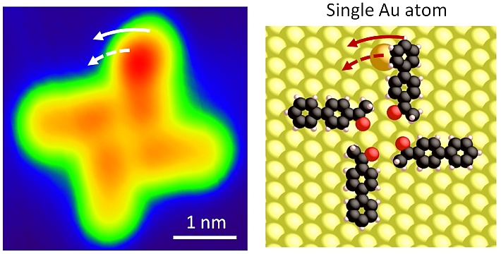 controlled transport of single atoms by an electronically driven molecular nanostructure